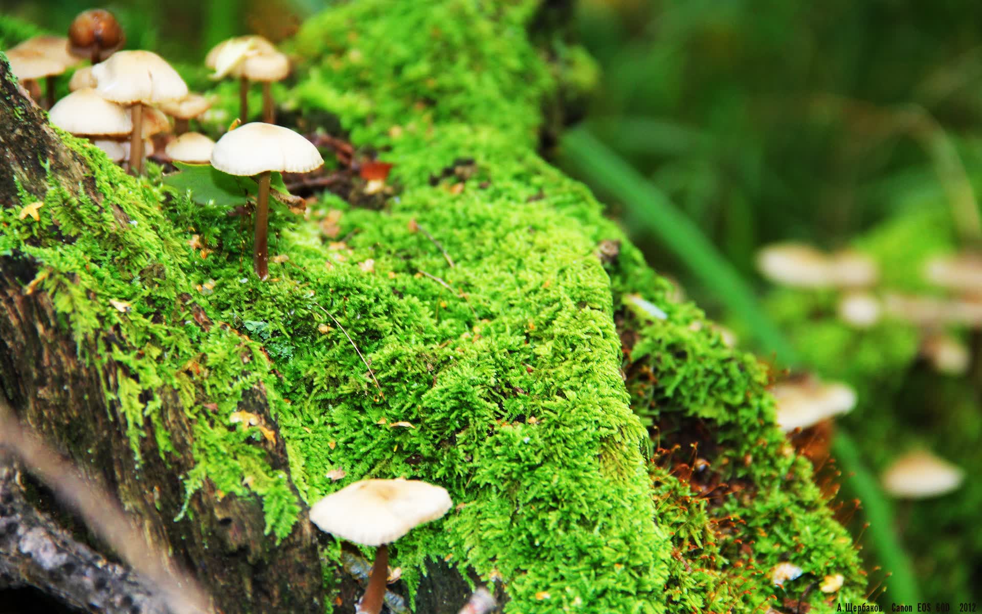 世界体操单项赛赛场康复与心理支持示范中心全国复制计划启动,世界体操大赛包括